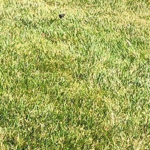 Meet your Posher, Marina